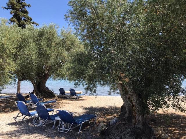 Kalimera Apartments Kiveri Luaran gambar